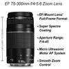 Canon EOS 4000D / Rebel T100 DSLR Camera 18-55mm + 75-300mm Zoom Lens, SanDisk 32GB Memory Card, Tripod, 3 Pieces Filter (UV, CPL, FLD), ZeeTech Accessory Bundle (Renewed) view 4