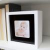 Conceal-a-Cam Home Security Camera Enclosure - White view 4