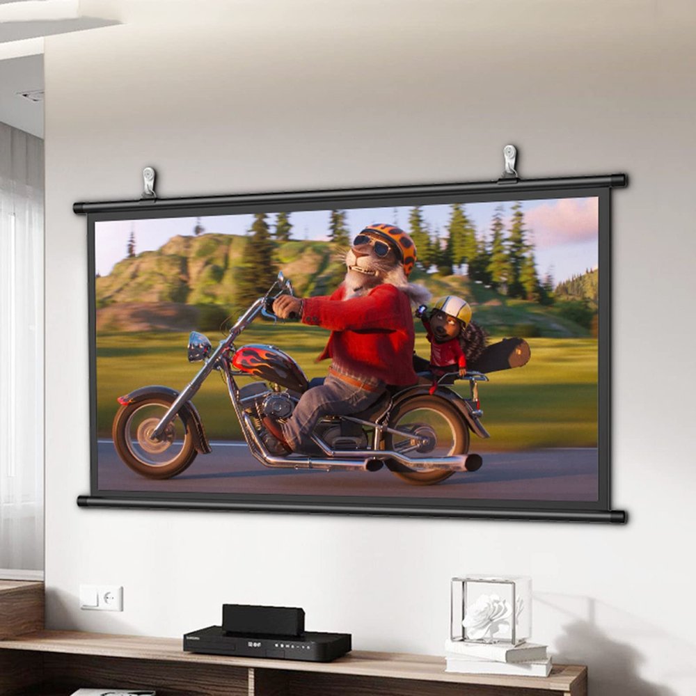 DirectNine Basics 60 inch Manual Pull Down Projection Screen, 16:9/4:3, 4K 3D HD, White, Glossy, Wall Mountable