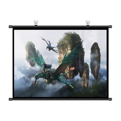 4:3/16:9 Manual Projector Screen 60in Full HD 3D Projections Movies Screen, Anti-Crease, for Indoor Outdoor Home Cinema Office Conference School etc (Size : 60in 4:3)