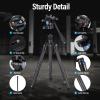 SIRUI Carbon Fiber Tripod Lightweight 2lbs with Panoramic Fluid Head, 59.8 Compact Camera Tripod Quick Release Leg Setup, Reversible Center Column, Reverse Folding Legs, Max Load 11lbs - Traveler X view 2