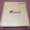 Ruckus Q410 LTE Wireless Access Point - P01-Q410-US01 view 2