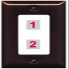 RiteAV Custom Wall Plate 2 Port, 1 Gang, Bronze/White, Choose HDMI Coax 3.5mm Banana Cat5/6 Phone RCA Speaker Toslink USB view 1