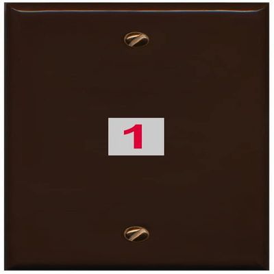 RiteAV Custom Wall Plate 1 Port, Flat, Brown/Brown, Choose HDMI Coax 3.5mm Banana Cat5/6 Phone RCA Speaker Toslink USB
