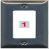 RiteAV Custom Wall Plate 1 Port, 1 Gang, Stainless/White, Choose HDMI Coax 3.5mm Banana Cat5/6 Phone RCA Speaker Toslink USB view 1