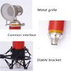 DULASP Capacitor USB Microphone Computer Dedicated K Song Microphone Mixing Bop Network Microphone Net Red Live Broadcast Equipment Set Live Broadcast view 2