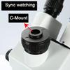 BAHCCE Lab Microscope Slides 1/2 1/3 1X Adapter C-Mount Lens Adapter for Trinocular Microscope Video Industrial Camera Microscope Parts (Color : 1-3) view 3