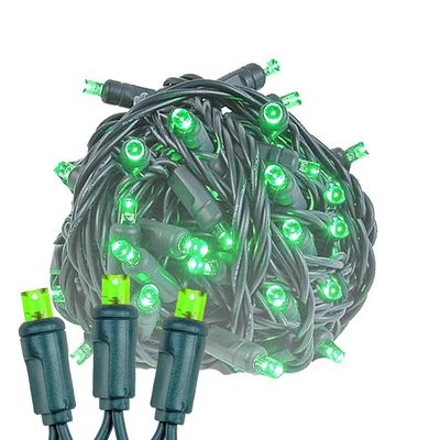 Novelty Lights 25 Feet 50 LED True Twinkle Green Outdoor Christmas String, 100% Twinkle 5mm LED Lights on Green Wire, Commercial Grade UL Listed, Connectable End to End