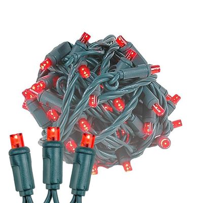 Novelty Lights 25 Feet 50 LED True Twinkle Red Outdoor Christmas String, 100% Twinkle 5mm LED Lights on Green Wire, Commercial Grade UL Listed, Connectable End to End