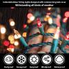 LAMPHOME Red Clear Valentine's String Lights 100 Mini Incandescent Fairy Light Decor 20 Ft Green Wire Christmas Lifgt for Indoor & Outdoor Party Patio Bedroom, Xmas Tree Garland Easter Decoration view 4