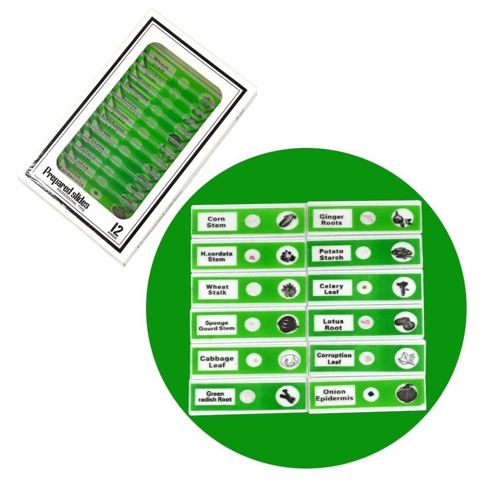 RADHAX Microscope Kit 12pcs/Set Plastic Microscope Slides Biological Specimen Microscope Lens Adapters (Size : Green)