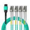10Gtek Fiber Optic Cable Patch Cord - MPO to 8X LC Fanout Fiber Jumper Cable, OM3 MMF 8-core Fiber, Application for QSFP+Transceiver, 2m(6.6ft), Breakout 0.5m view 3