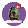 10x14 Mat Bevel Cut for 8x12 Photos - Precut Dark Purple Oval Shaped Photo Mat Board Opening - Acid Free Matte to Protect Your Pictures - Bevel Cut for Family Photos, Pack of 10 Matboards view 1