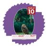 20x30 Mat Bevel Cut for 18x27 Photos - Precut Dark Purple Oval Shaped Photo Mat Board Opening - Acid Free Matte to Protect Your Pictures - Bevel Cut for Family Photos, Pack of 10 Matboards view 1
