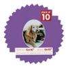 12x16 Mat Bevel Cut for 8x10 Photos - Precut Dark Purple Oval Shaped Photo Mat Board Opening - Acid Free Matte to Protect Your Pictures - Bevel Cut for Family Photos, Pack of 10 Matboards view 1