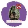 10x14 Mat Bevel Cut for 8x12 Photos - Precut Dark Purple Oval Shaped Photo Mat Board Opening - Acid Free Matte to Protect Your Pictures - Bevel Cut for Family Photos, Pack of 25 Matboards view 1