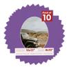 10x13 Mat Bevel Cut for 8x10 Photos - Precut Dark Purple Oval Shaped Photo Mat Board Opening - Acid Free Matte to Protect Your Pictures - Bevel Cut for Family Photos, Pack of 10 Matboards view 1