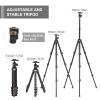 Andoer Portable Camera Tripod Stand Aluminium Alloy 360 Degrees Rotatable Ball Head 5kg/11lbs Load Capacity 150cm/59in Max. Height with Detachable 2-Section Center Shaft Carrying Bag for DSLR Cameras view 3