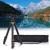 Andoer Tripod Camera 140 cm, Lightweight Tripod with 360 Rotating Ball Joint, Detachable 2 Sections Central Axis Carrying Bag for DSLR Camcorders Smartphones view 2