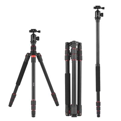 Andoer 153cm/60in Portable Camera Tripod Stand Aluminum Alloy with Detachable Monopod 360Rotatable Ball Head 10kg/22lbs Load Capacity with Carry Bag for DSLR Camera Camcorder Smartphone