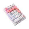 BOYI TD21 Hot Swap Numpad,21 Keys Mini Numpad Portable Keypad Bluetooth5.0/2.4G/Wired Number Pad Keyboard PBT Keycaps RGB Backlit Type-C Mini Keyboard (Cherry Blossom) view 1