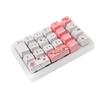 BOYI TD21 Hot Swap Numpad,21 Keys Mini Numpad Portable Keypad Bluetooth5.0/2.4G/Wired Number Pad Keyboard PBT Keycaps RGB Backlit Type-C Mini Keyboard (Cherry Blossom) view 4