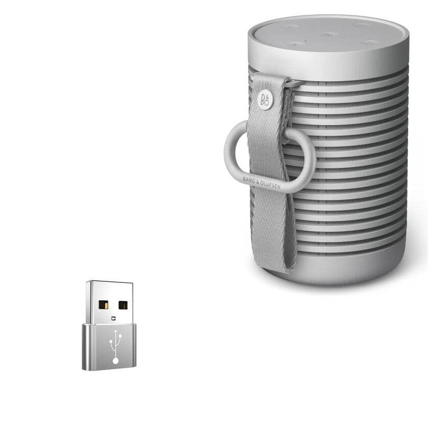 BoxWave Adapter Compatible with Bang & Olufsen Beosound Explore - USB-A to C PortChanger (5-Pack), Type-C OTG Convert Charging Data Adapter - Metallic Silver