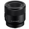 Sony FE 50mm f/2.8 Macro Lens for Sony E, Bundle with 55mm Filter Kit, Lens Case, Lens Cleaner, Cleaning Kit, Lens Cap Tether view 2
