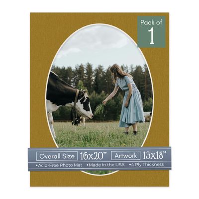 CountryArtHouse Metallic Gold Acid Free 16x20 Oval Picture Frame Mat with White Core Bevel Cut for 13x18 Pictures - Fits 16x20 Frame - Pack of 1 Matboard