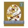 CountryArtHouse Metallic Gold Acid Free 9x11 Oval Picture Frame Mat with White Core Bevel Cut for 7x9 Pictures - Fits 9x11 Frame - Pack of 1 Matboard view 1