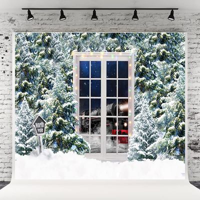 10x6.5ft Christmas Photography Background Outdoor Forest Snow North Pole Background Christmas Window Backdrops for Family Festival Decorations Photo Studio Props