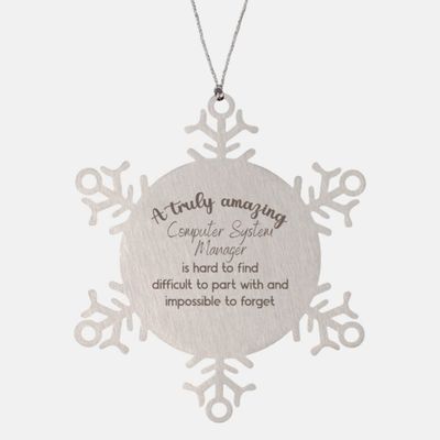 Computer System Manager Gifts for Computer System Manager Christmas Ornament Computer System Manager, A Truly Amazing Teacher Computer System Manager is Hard to find Difficult to Part with and