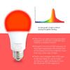 Hooga Sleep Bulb, Blue Light Blocking Red Night Light. 625nm Red Bulb for Healthy Sleep. Baby Nursery. 1W LED, 7W Replacement 2-Pack view 2