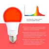Hooga Sleep Light Bulb - Blue Light Blocking Red Night Light, 625nm for Healthy Sleep - Baby Nursery, 7W LED, 45W Replacement Single view 2