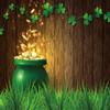 INRUI St.Patrick's Day Photography Backdrop Wooden Texture Lucky Irish Shamrock Festival Party Decorations Banner (8x6FT) view 4