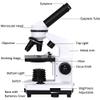 RADHAX Microscope Kit LED Lighted Student Microscope, 1600X Monocular Biological Microscope Microscope Lens Adapters view 2