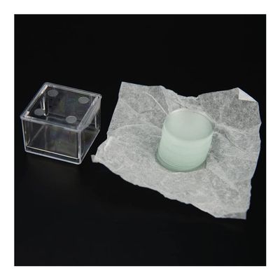 RADHAX Microscope Kit 1000Pcs Round Microscope Glass Slides Cover Slips Blank Slides Microscope Accessories 0.13-0.17 mm Thickness, 25mm 26mm 28mm Microscope Lens Adapters (Color : 26mm)