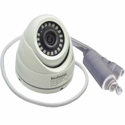 BlueFishCam Indoor Wired Wide Angle Dome PoE IP Camera 2.8mm Lens 4MP Waterproof IP66 4.0MP Metal POE Network Camera IP CCTV Motion Detective Infrared Night Vision Black/White