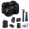 Panasonic LUMIX G95 Mirrorless Camera with LUMIX G Vario 12-60mm f/3.5-5.6 MFT Lens Bundle with 128GB Memory Card, Backpack, Extra Battery, Charger, Mic, Tripod, 58mm Filter Kit, Cleaning Kit view 1