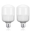 Neewer E26 24W LED Light Bulbs, 2 Packs, 2160 Lumens/5700K/CRI 93+/15000h Lifespan, Bright Video Photography Lighting, Silent/No Flicker/Non Dimmable 200W Incandescent Equivalent, UL Certified view 1
