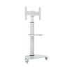 Tripp Lite Mobile Rolling TV Stand Cart with Mount for 37  70 Televisions, Elegant Frosted Glass Base and Shelf, Adjustable 65  84 Height, Durable White Steel, 5-Year Warranty (DMCS3770SG75W) view 1