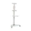 Tripp Lite Mobile Rolling TV Stand Cart with Mount for 37  70 Televisions, Elegant Frosted Glass Base and Shelf, Adjustable 65  84 Height, Durable White Steel, 5-Year Warranty (DMCS3770SG75W) view 2