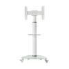 Tripp Lite Mobile Rolling TV Stand Cart with Mount for 37  70 Televisions, Elegant Frosted Glass Base and Shelf, Adjustable 65  84 Height, Durable White Steel, 5-Year Warranty (DMCS3770SG75W) view 3