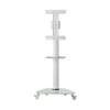 Tripp Lite Mobile Rolling TV Stand Cart with Mount for 37  70 Televisions, Elegant Frosted Glass Base and Shelf, Adjustable 65  84 Height, Durable White Steel, 5-Year Warranty (DMCS3770SG75W) view 4