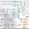 FIGMA Keyboard Labels Layout Shortcuts view 2