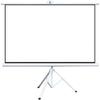 ZEELYDE Projector Screen,Home Mobile Portable Projector Screen, Simple Floor-to-Ceiling Manual Pull-Down Screen Without Perforation Screen with Bracket view 1
