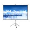 ZEELYDE Projector Screen,Portable with Height Adjustable Stand 4:3/16:9 HD Manual Floor-Standing Projection Screen, for Indoor Movies, Conferences view 1