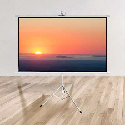 ZEELYDE Projector Screen,with Stand - 4:3/16:9 HD Mobile Portable Foldable Independent Floor-Standing Projection Screen, for Home Theater, Entertainment