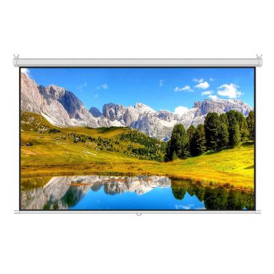 ZEELYDE Projector Screen,Manual Retractable Projector Screen 4:3/16:9 HD Portable Projection Screen, with Auto-Lock/Slow Retract Mechanism, for Indoor Movies, Entertainment, Conferences