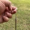 Stainless Steel Telescopic Whip for GRA-1900T | Original Replacement Antenna Element | Durable, Collapsible, HF Use view 2